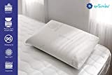 NATURALEX Oreiller Ergonomique - Mousse à Mémoire de Forme - Aloe Vera Hypoallergénique - 60 x 40 cm